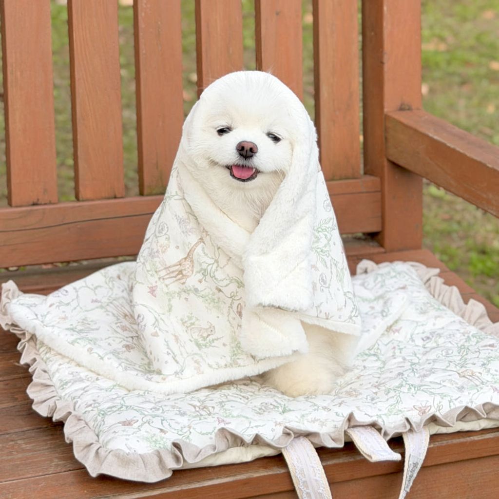 image_3B2ED331-7A84-45F2-8F6C-0D6F2592CFE2_1764800956