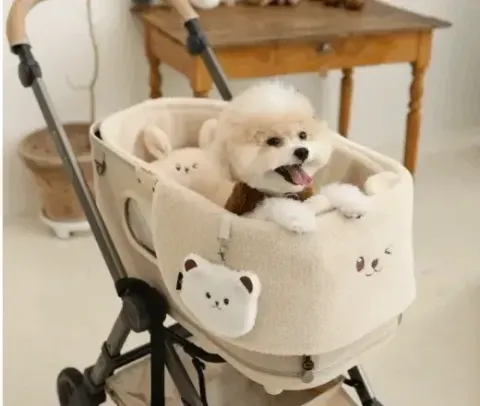 e401f0835365f6475308e03d4cdebb81