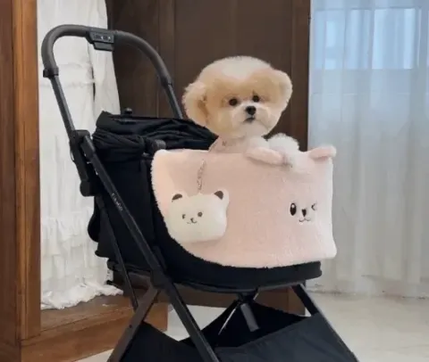 a5a2a0ce03cadfa71532815413dff21e