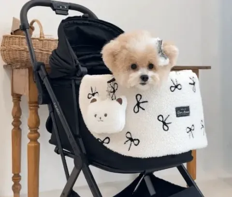 6702fdc0c71e8486614fabd6967e18d4