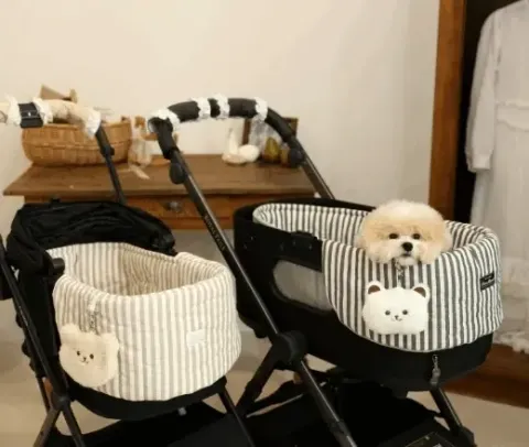 bdc2969056f69eec1f42e22728bec4c1 (1)