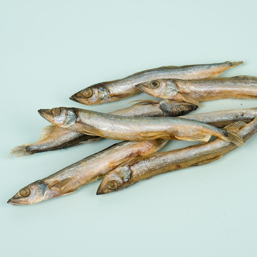 image_1395B764-A046-4689-A7E3-ECEE2440200B_1766253230