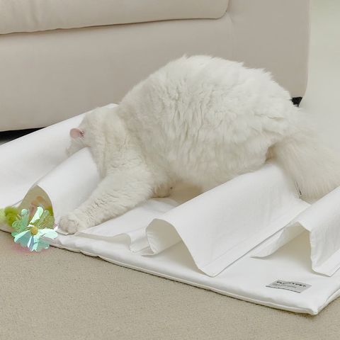 image_5E8C6C76-6640-41D7-AB08-B589E7E65327_1766259052