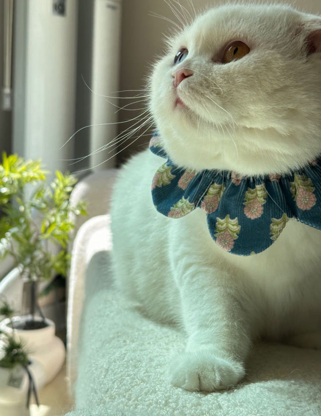 image_AD4FBD02-9AFD-4337-BDC7-03922EDF81CF_1767872217