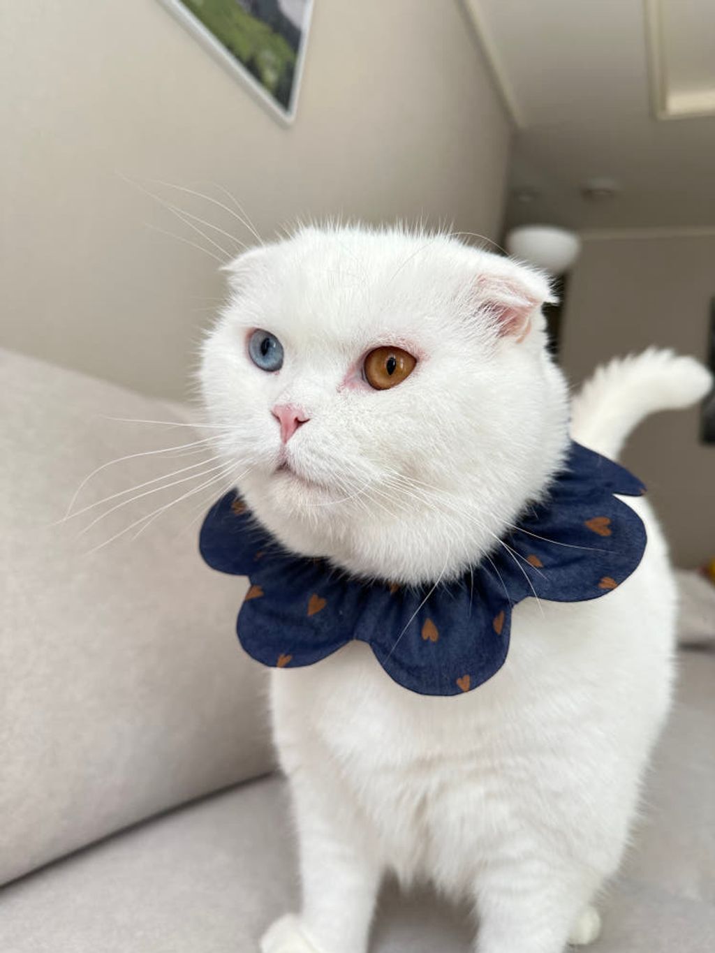 image_77B719D8-87F5-434C-BB1B-06CE2BFFA847_1767872217