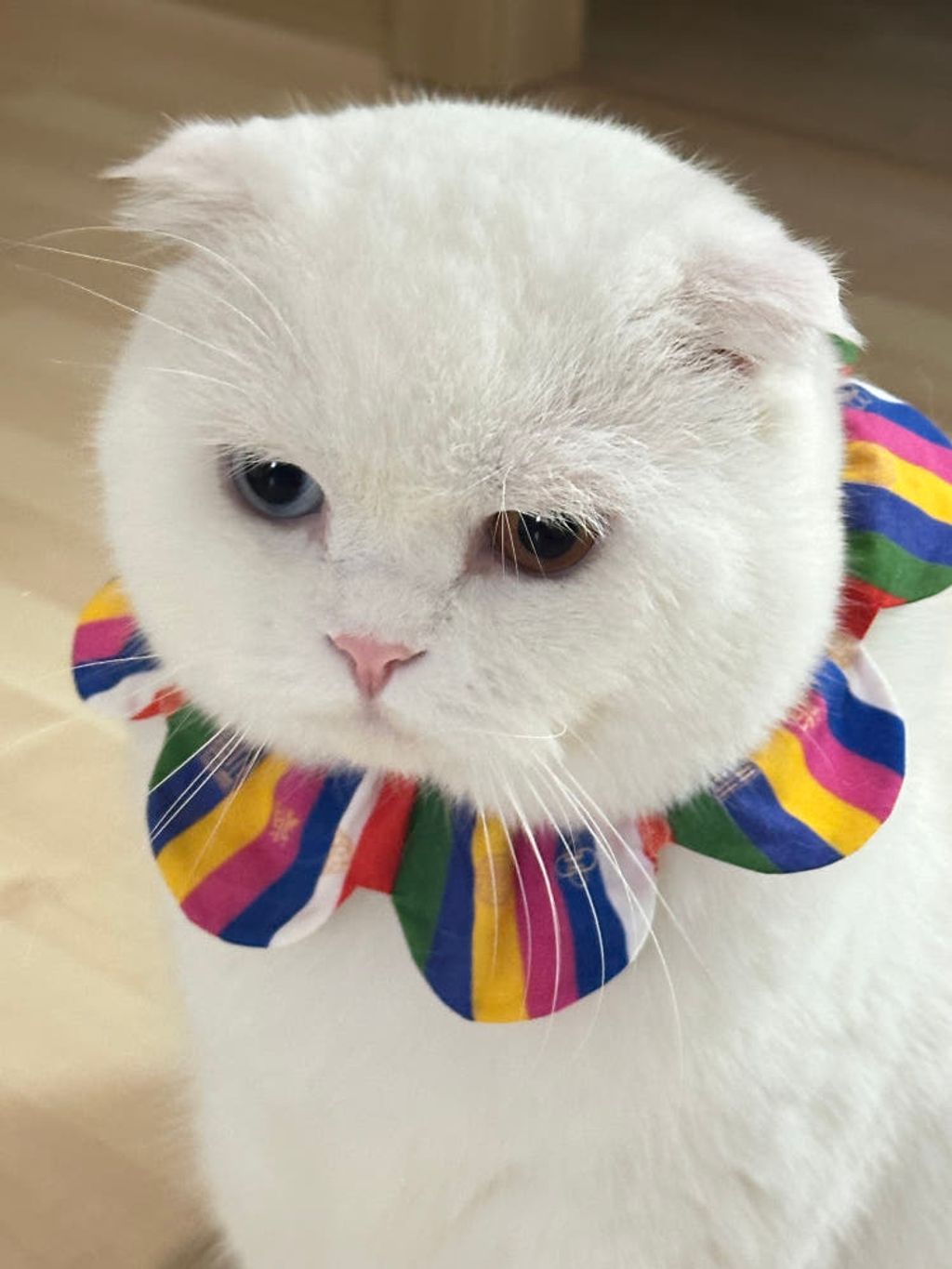 image_1B83774B-727D-4E4D-B010-DFBFC02F530E_1767872217