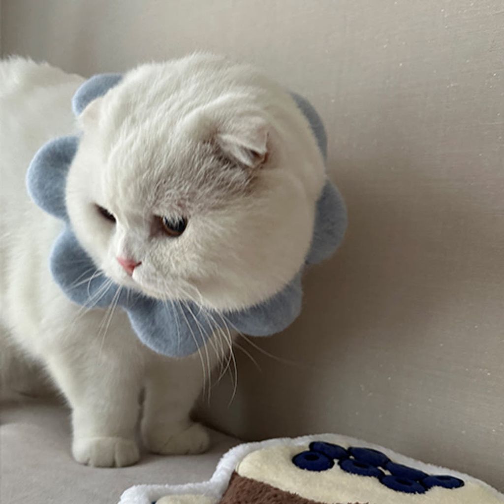 image_AAA48422-5774-4816-94B2-42B95B217806_1767872503