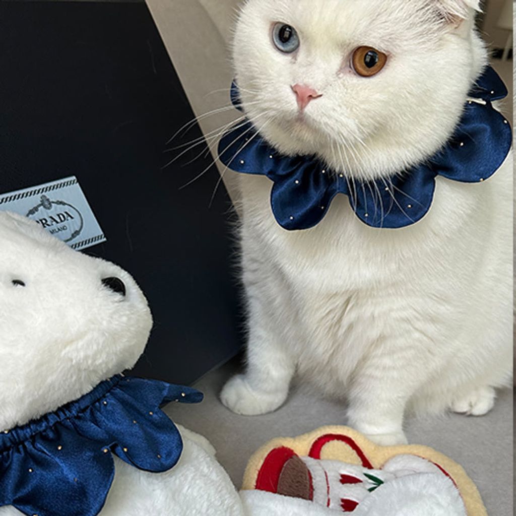 image_3C851B7E-3D04-4EA6-B64C-51EE279B1559_1767872503