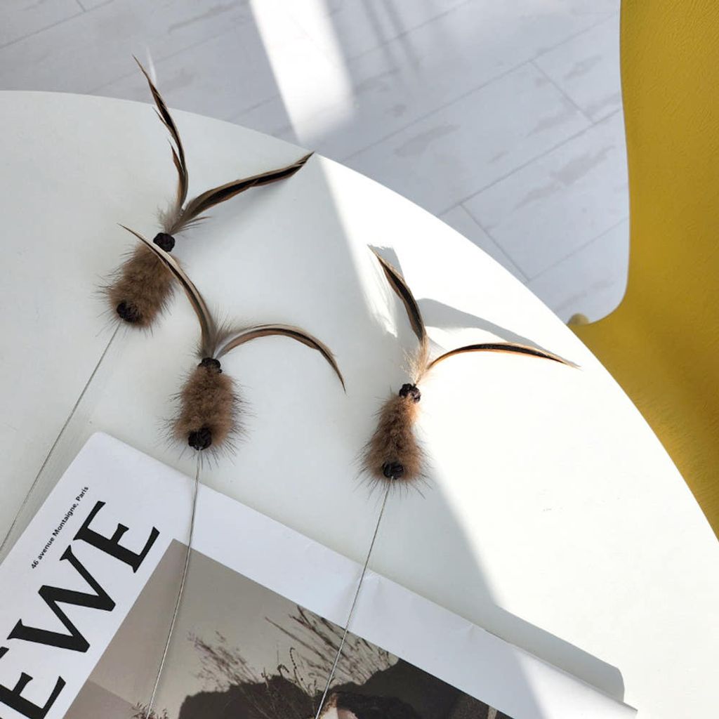 60676340209378125_108422155