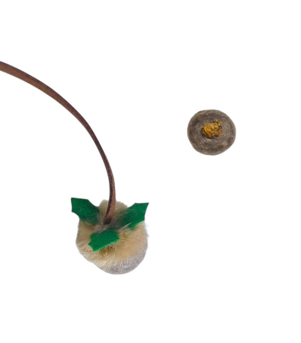 image_6ACCD465-CD3C-4E54-A818-C506AAC80980_1768378817