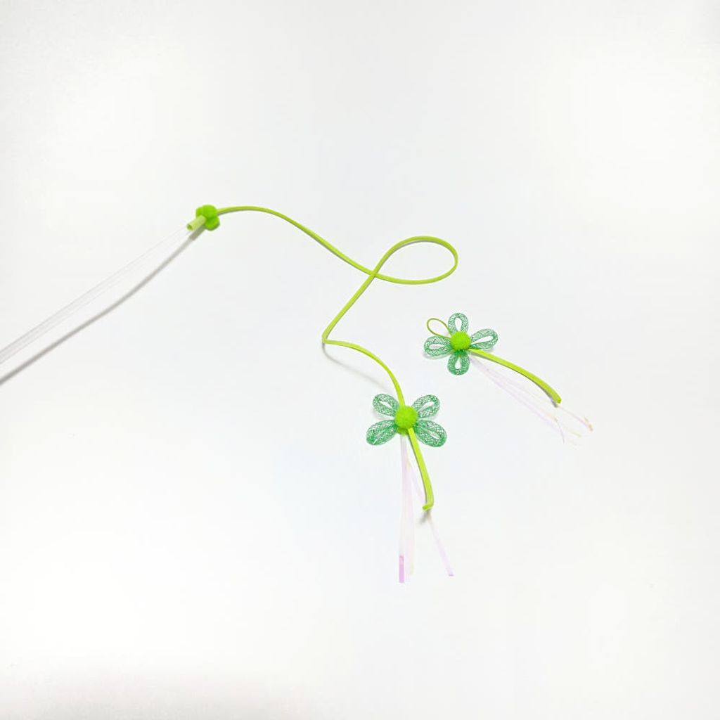 image_BBC44B5D-3F3B-477F-90CA-8E0EA1419920_1768378929