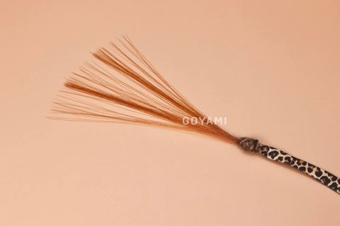 51167693523582651_323964091