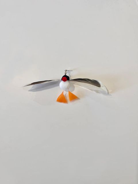 19221528721774676_895012327