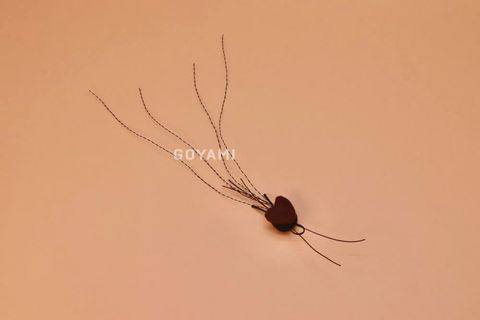 5622182928483150_1825817778