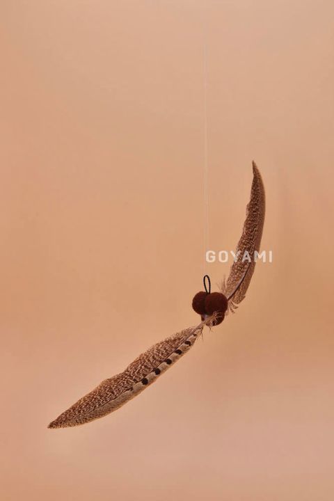 60603509956385639_521736665