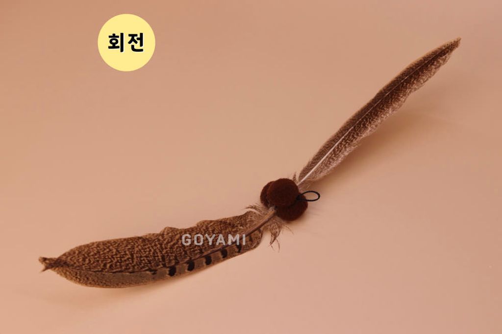 60603586795265846_1456649513