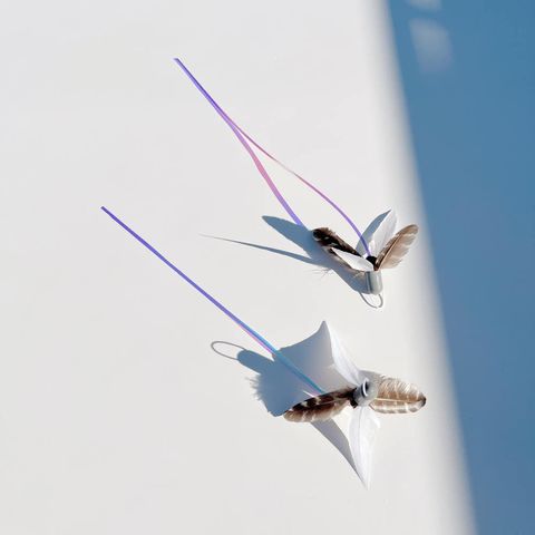 image_56FFEC26-C365-4C00-B76F-0ECDF1E78A01_1768543749