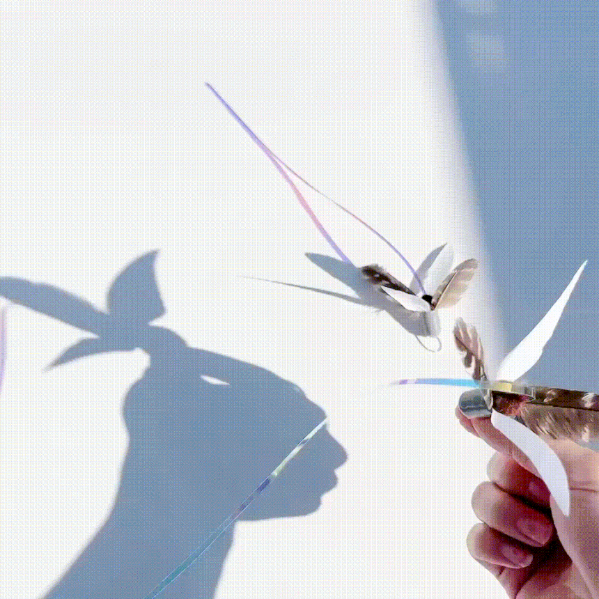 image_19465BEB-A727-4D4F-8D7A-B11F84481126_1768543749