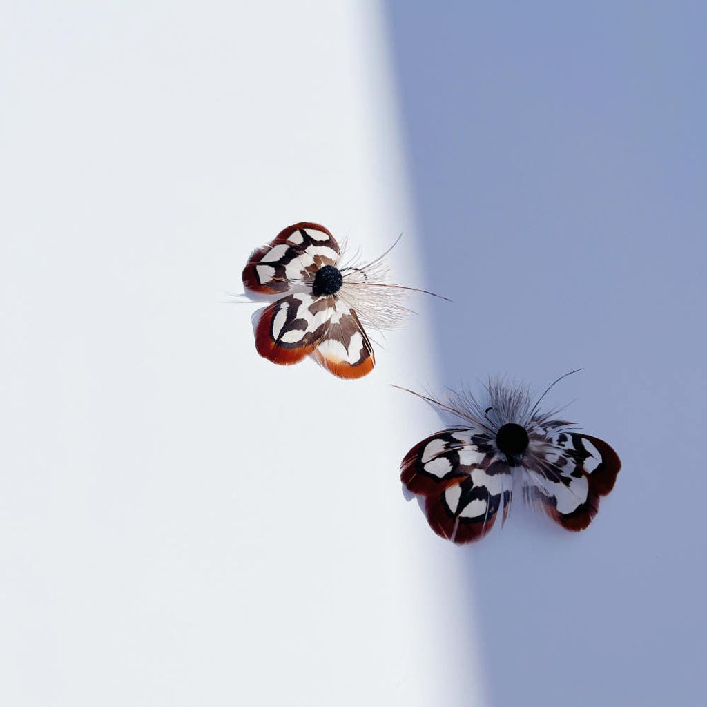 image_3C5DB6A5-6DC9-48A5-B824-CFA67D9FA874_1768544475