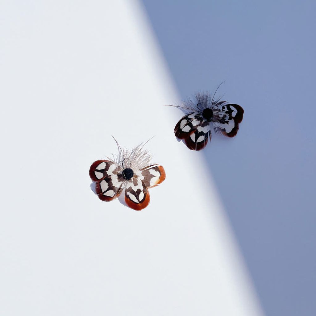 image_DC279452-C02C-4DA3-B3D4-6A65126698F7_1768544475