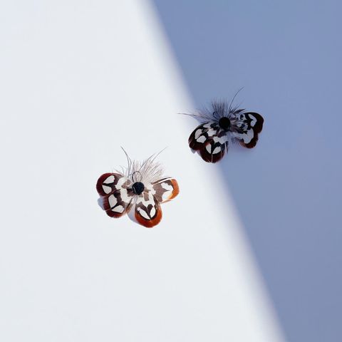 image_DC279452-C02C-4DA3-B3D4-6A65126698F7_1768544475