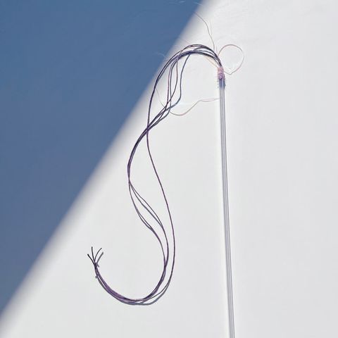 image_5C49BA79-D75C-4596-B6DB-DA131452F75C_1768546144