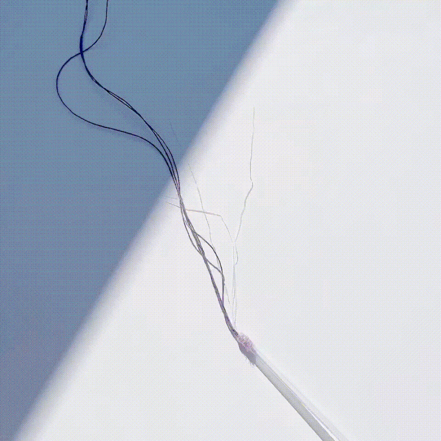 image_416ADE8D-B00F-4E05-834B-93A3AA4E3207_1768546144