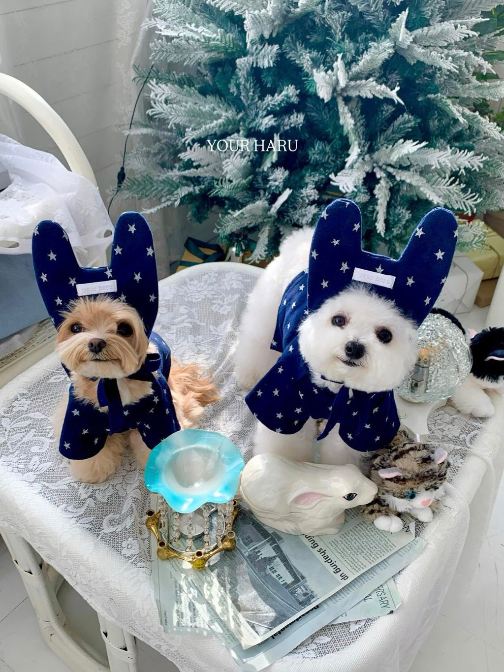 image_4159AAE3-2AE2-478E-9576-295ED404A55B_1768744767