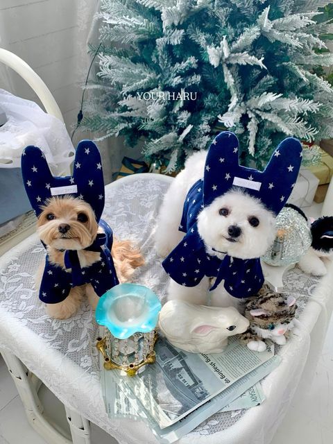 image_4159AAE3-2AE2-478E-9576-295ED404A55B_1768744767