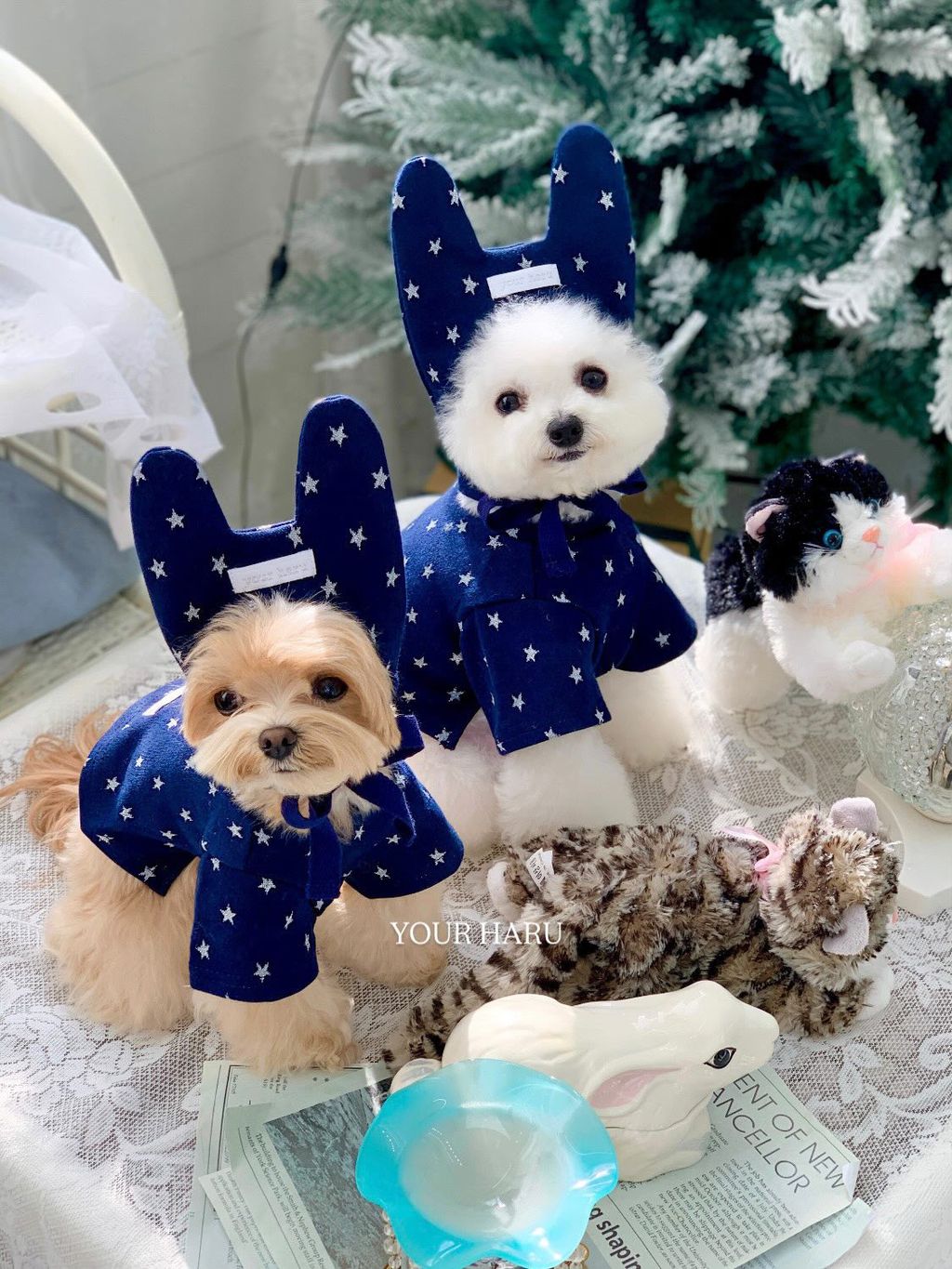 image_7E9297AE-BED5-4EB8-B757-D02A1BD450C2_1768744767