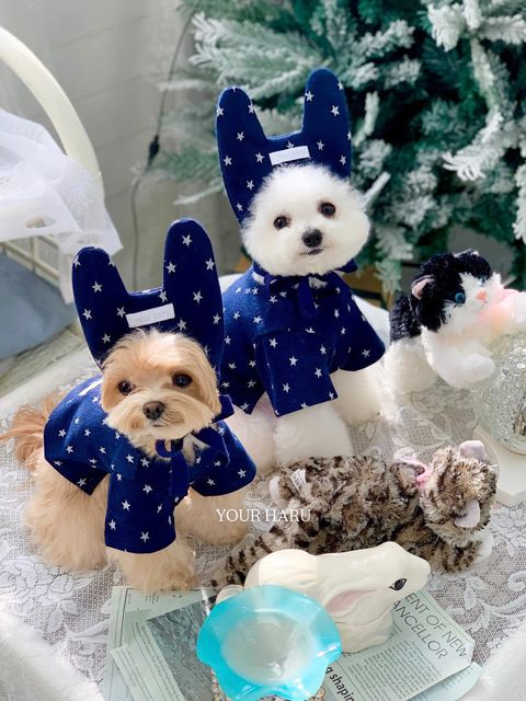 image_7E9297AE-BED5-4EB8-B757-D02A1BD450C2_1768744767