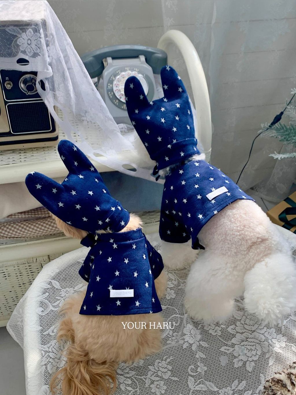 image_B7247770-CAB3-46F2-84A2-BAA987C61BBC_1768744767