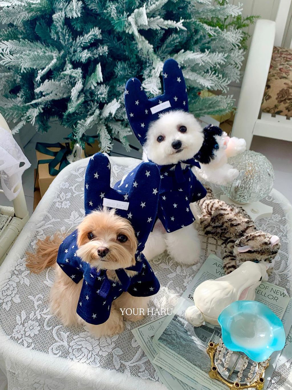 image_85820A49-9A4A-4CD7-BE82-2600B1D20206_1768744767