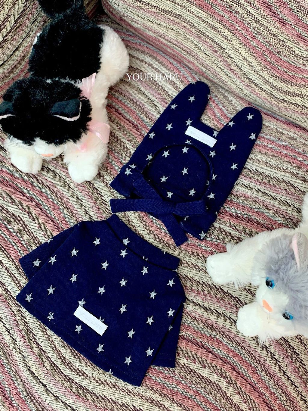 image_2B34D4E1-96E4-468A-A6DF-404044CC1BE2_1768744767