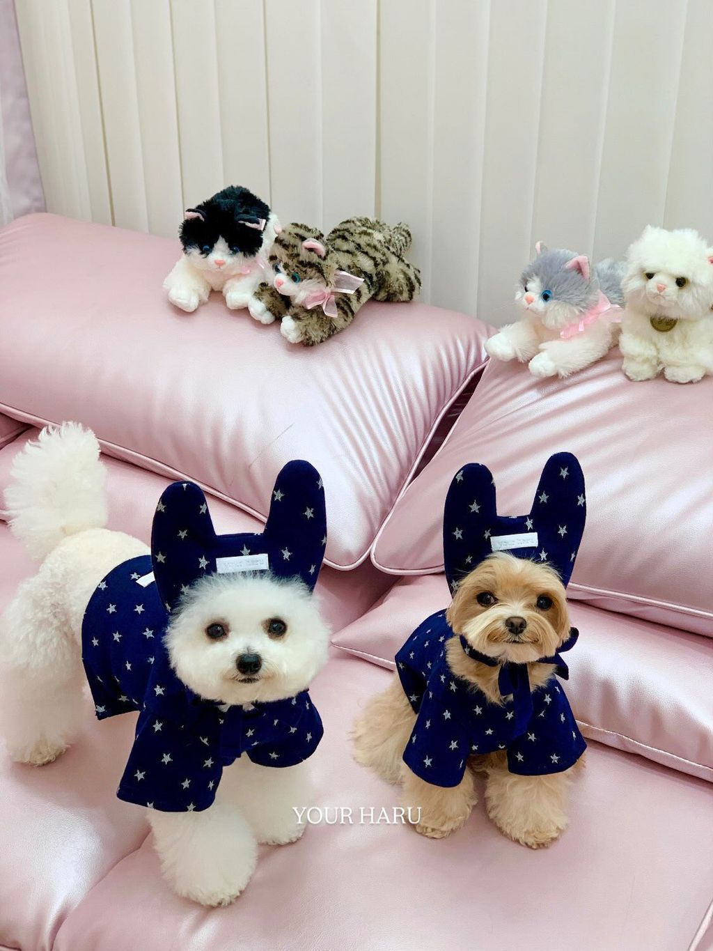 image_11FB4B5D-872C-4FA8-B169-EF332179EAB6_1768744767