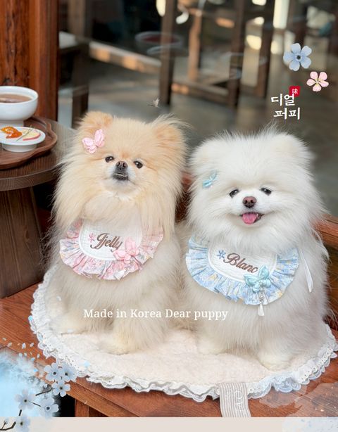 image_2121AC79-5EE6-4EB0-9683-FCD2E25DEEFD_1768901090