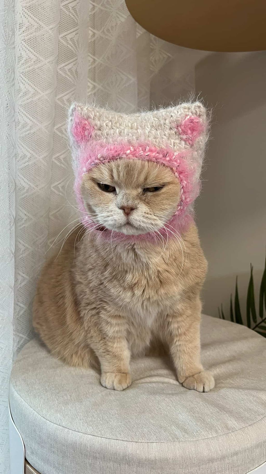 image_2CA09E44-9069-4C62-8638-1380648E1973_1769347621