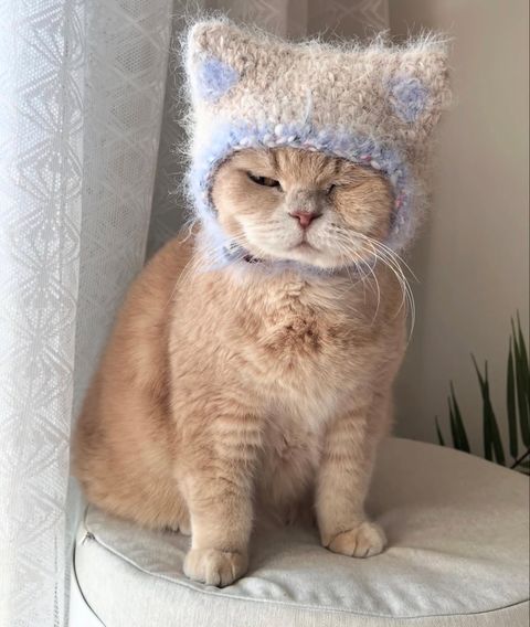 image_9999329B-E2AA-4986-ABB8-E703CD965F0A_1769347621