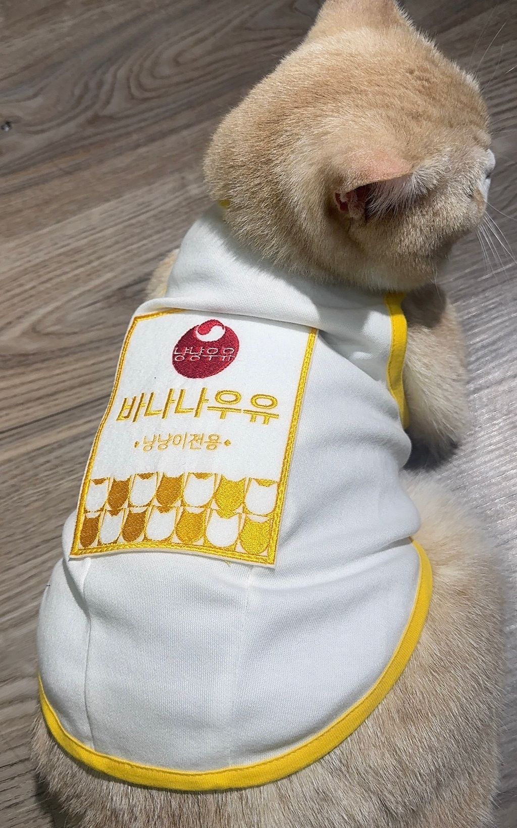 image_4AB2DA9C-ED7B-4C52-844D-9C00B1CC7770_1770222177