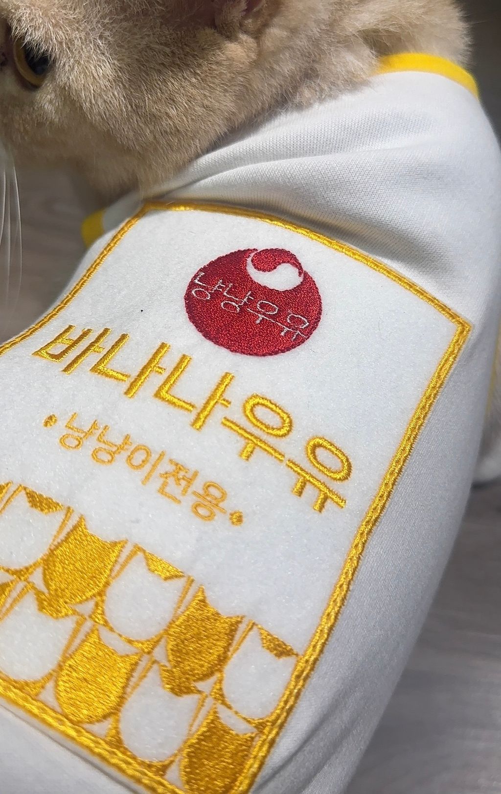 image_BE7CA3E4-A743-4481-A5D1-4382CC43288D_1770222177