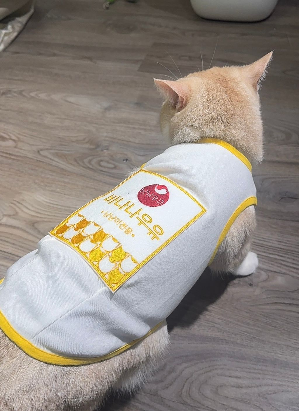 image_15AD7256-2B88-4911-98E7-AF10D16D77C9_1770222177