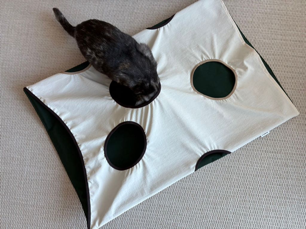 image_B728BC80-B040-4738-BB9E-0F8CA233F1A4_1770684107