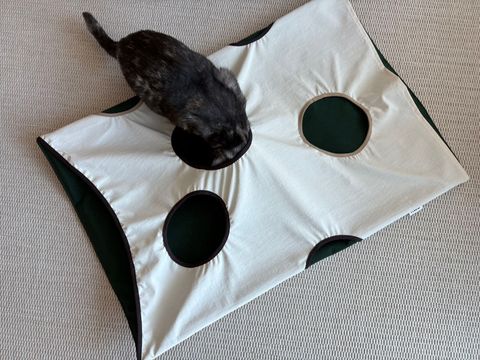 image_B728BC80-B040-4738-BB9E-0F8CA233F1A4_1770684107