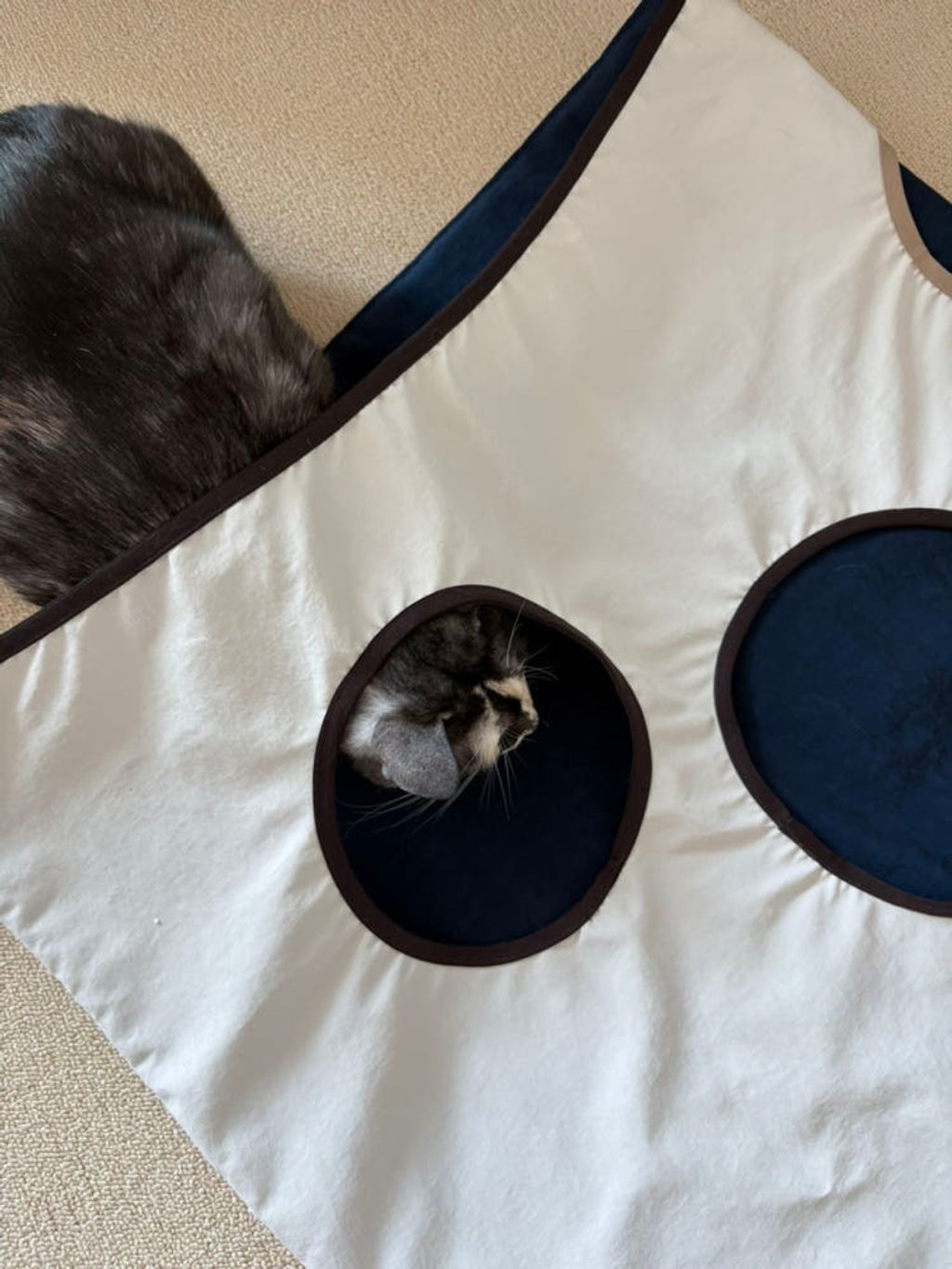 image_916E5E27-E3AC-49B8-97B2-6E1005B51E35_1770684107