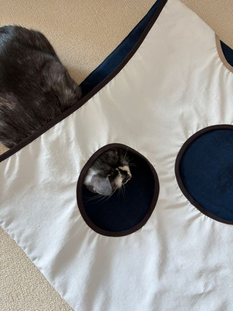 image_916E5E27-E3AC-49B8-97B2-6E1005B51E35_1770684107