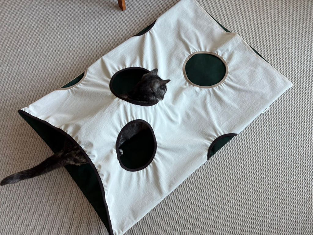 image_1F56A12D-A2DA-4ED8-B080-C8D99FB4C842_1770684107