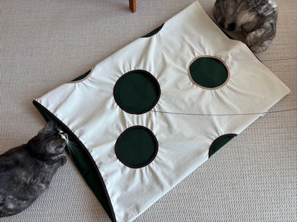 image_398DB696-EA18-4656-8978-CF797B3B9E18_1770684107