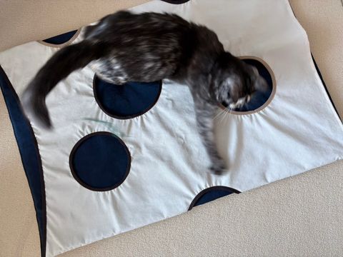 image_2860075E-166C-4B86-8201-9C7559A343D5_1770684107