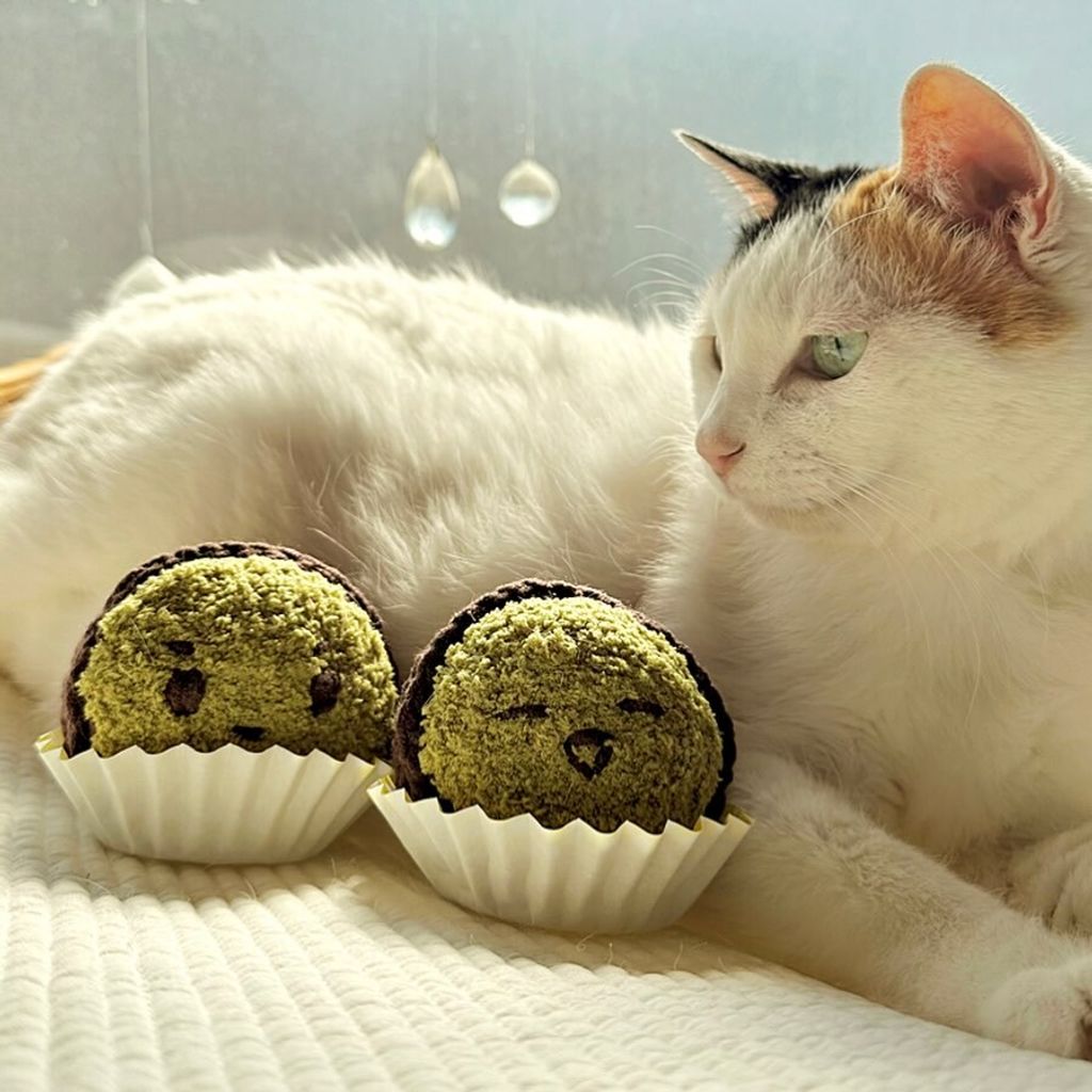 image_0465BE3F-B348-4CF7-86AE-5F7597B74C3D_1771845070