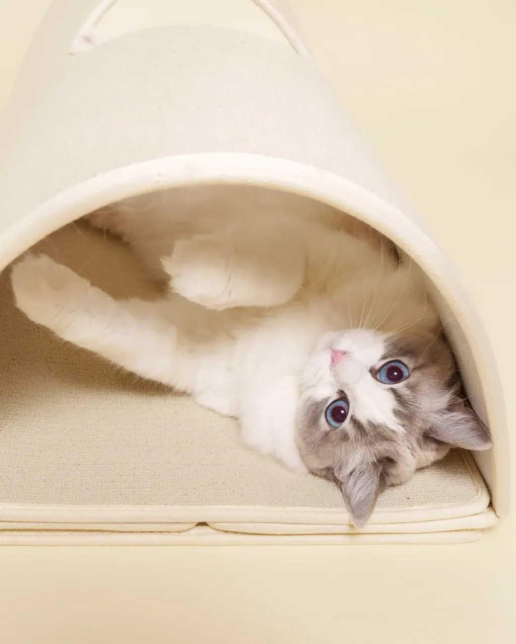 image_641B6655-FDE3-45B2-A12C-26D565DB6CC8_1771913415